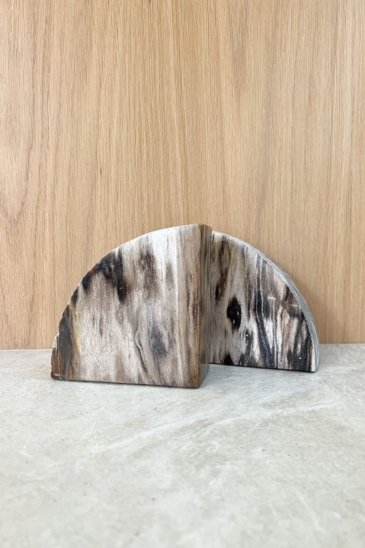 Petrified Wood Bookends, dark