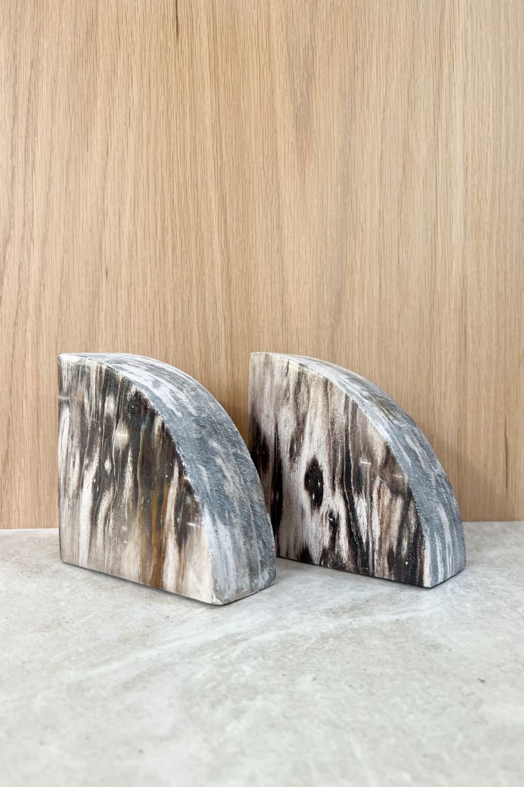 Petrified Wood Bookends, dark