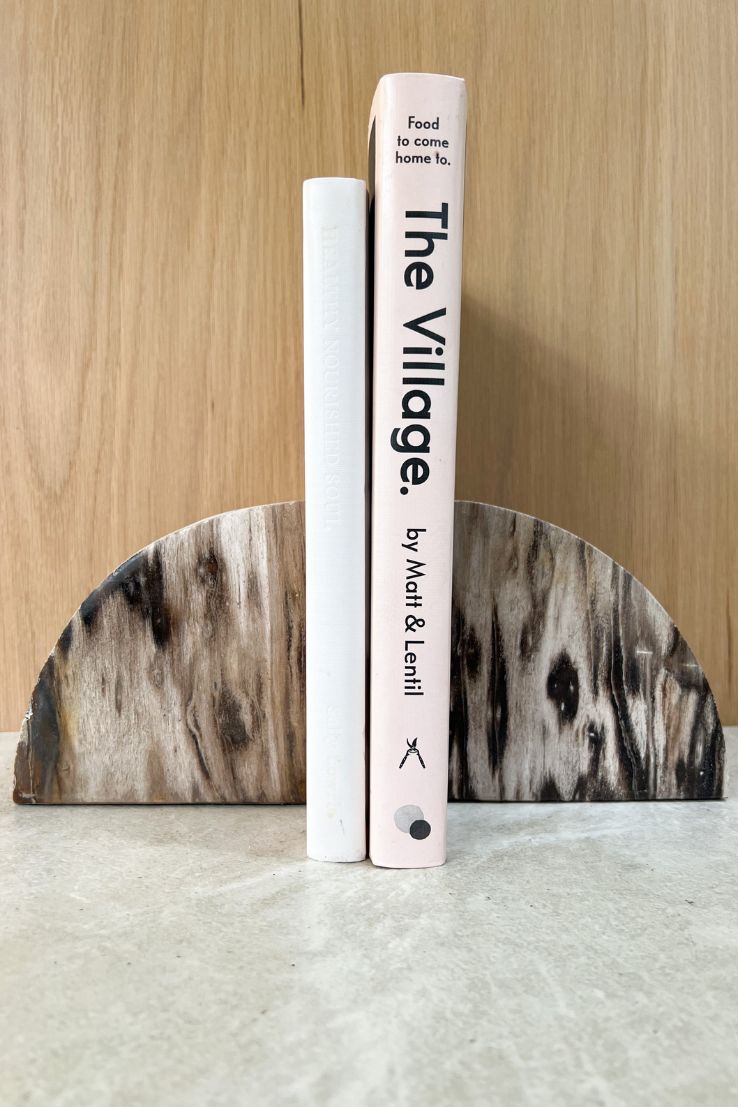 Petrified Wood Bookends, dark
