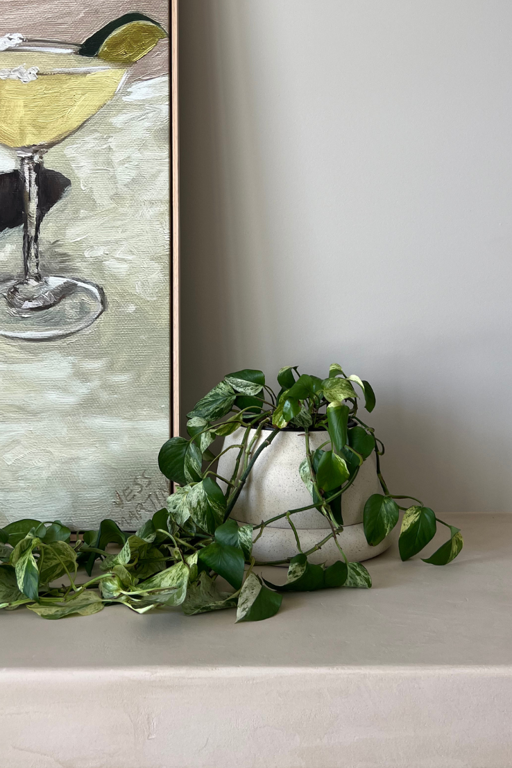 Cloud Planter, Large