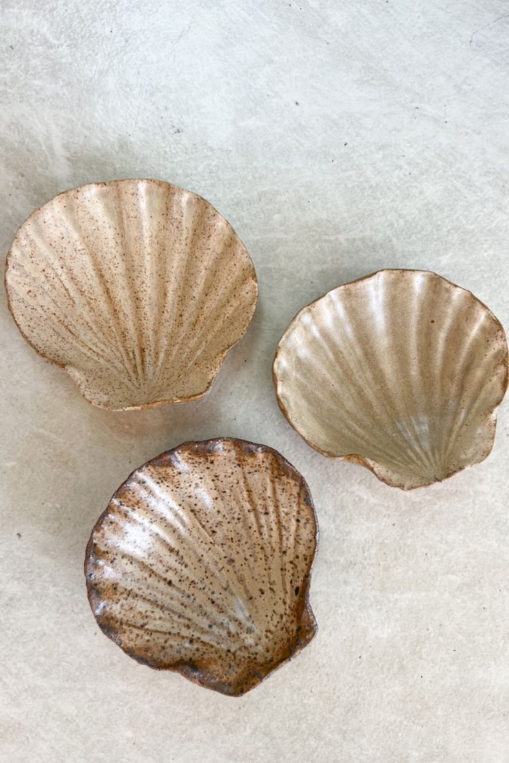 Seashell Dish
