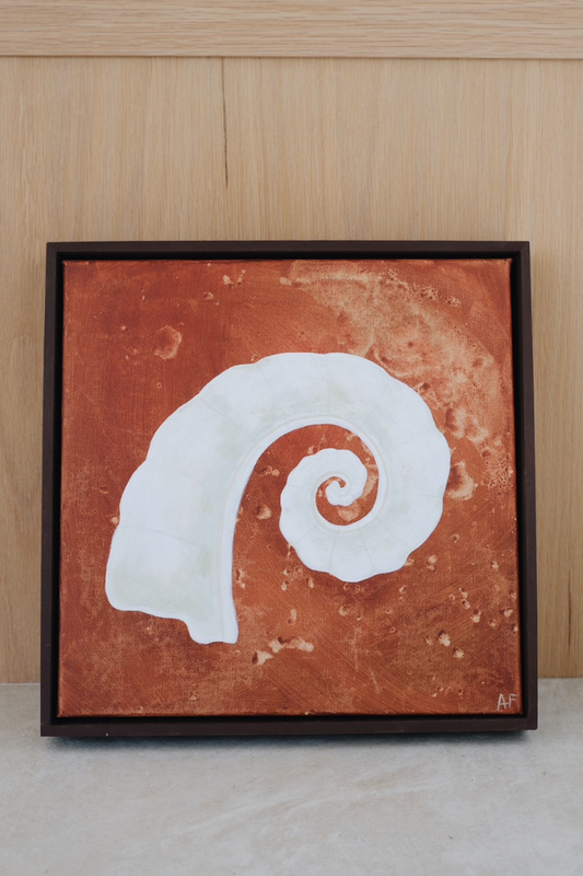 'Shell 6' by Alex Farrah