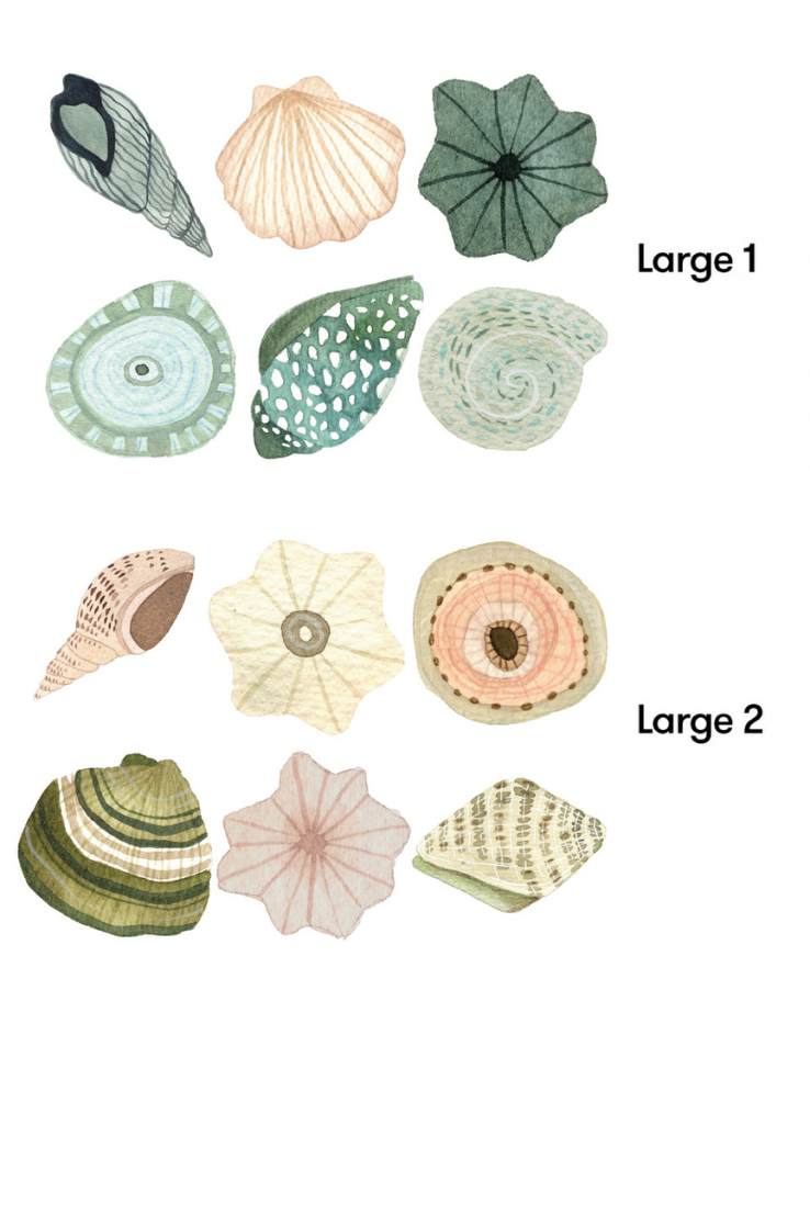 Seashell Removable Wall Stickers