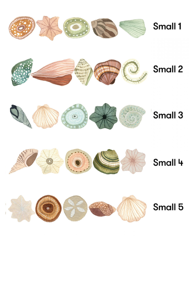 Seashell Removable Wall Stickers