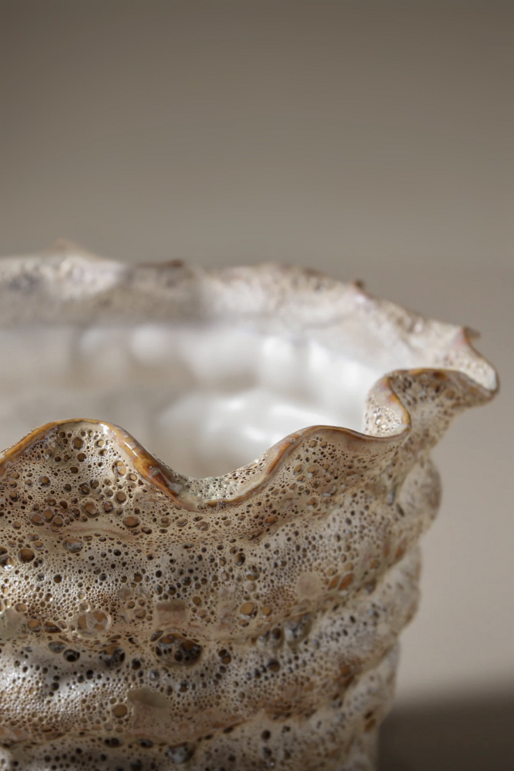 Nautilus Pot