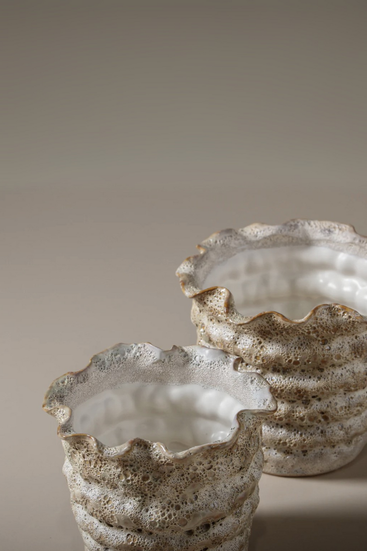 Nautilus Pot