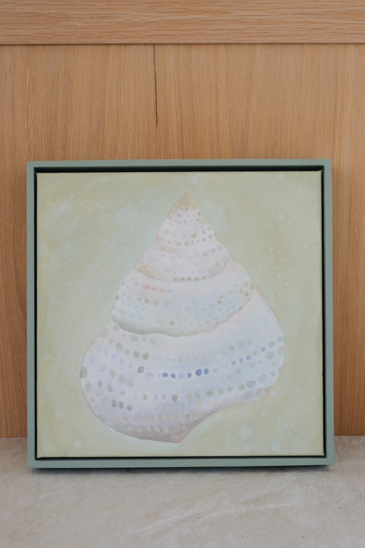 'Shell 1' by Alex Farrah