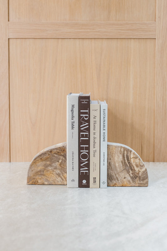 Petrified Wood Bookends