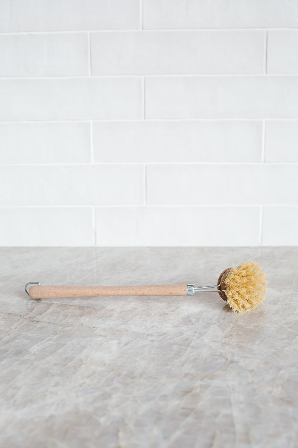 Dish Brush