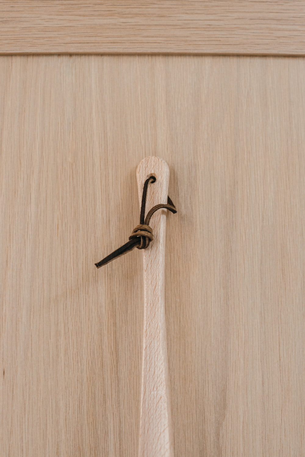 Shoe Horn