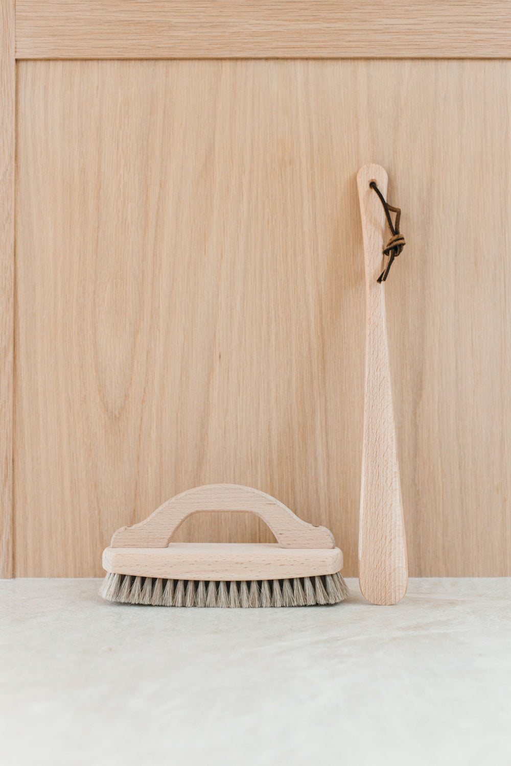 Shoe Horn
