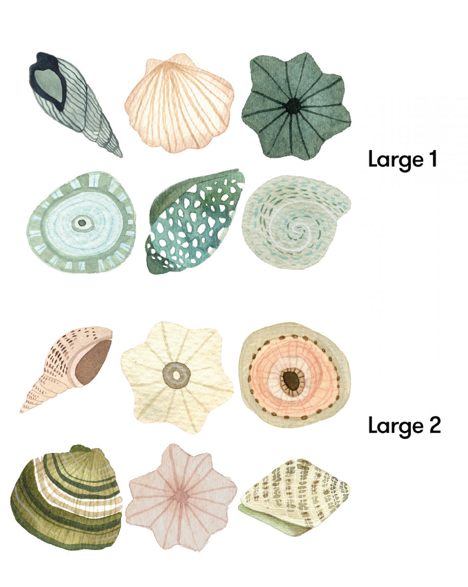 Seashell Removable Wall Stickers