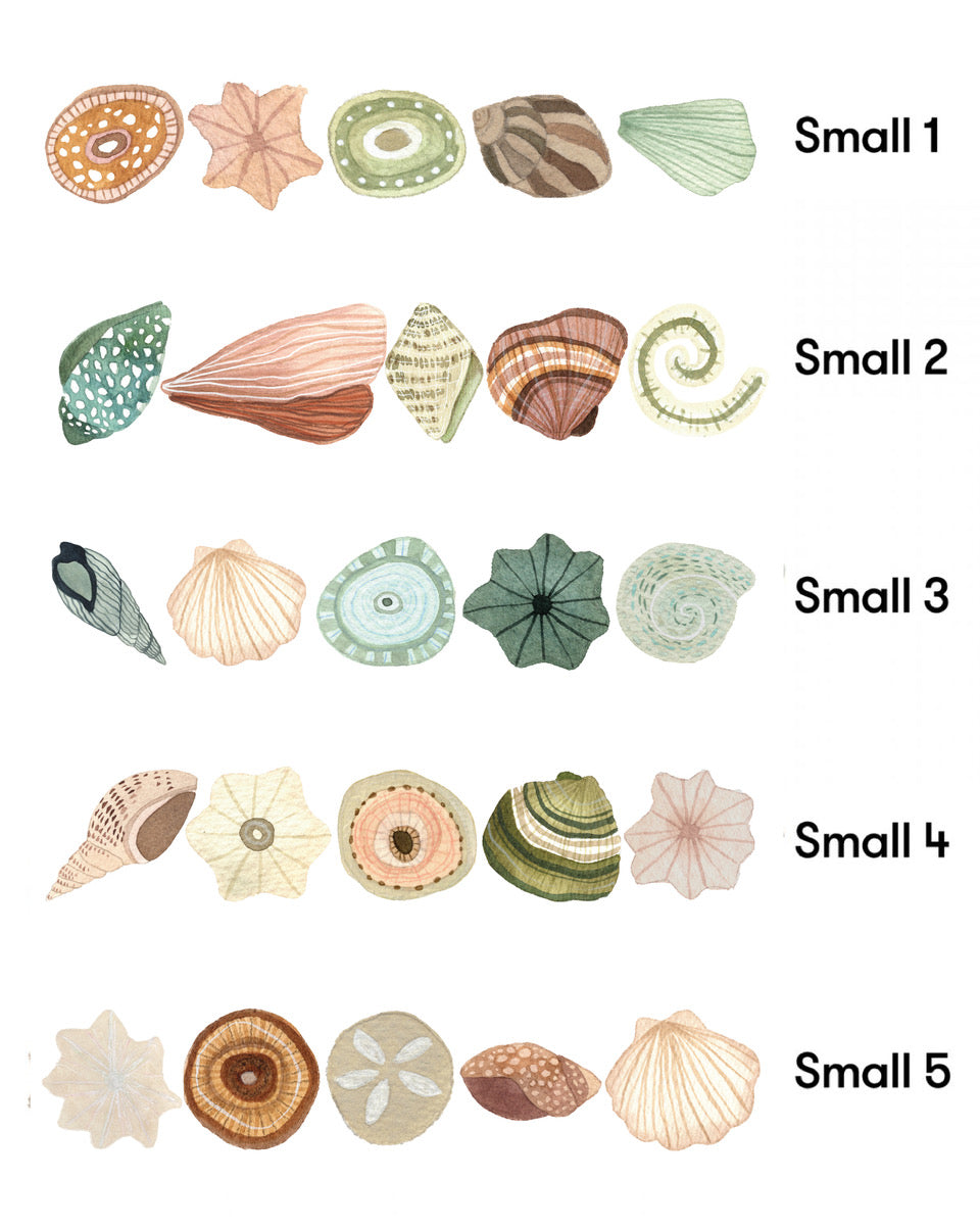 Seashell Removable Wall Stickers